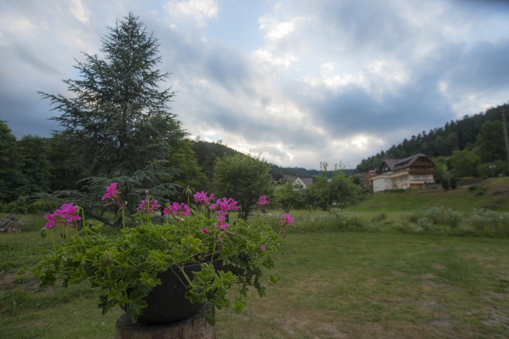 Enz Residenz Hotel Enzklosterle Bagian luar foto